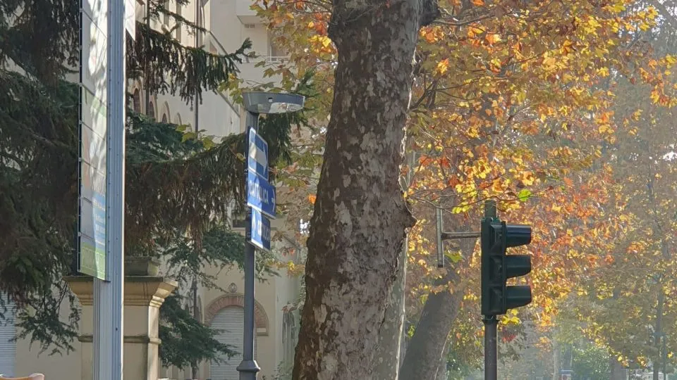 l’assessore Imola su viale Battisti