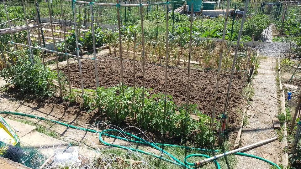 l’orto di viale Piemonte a Riccione