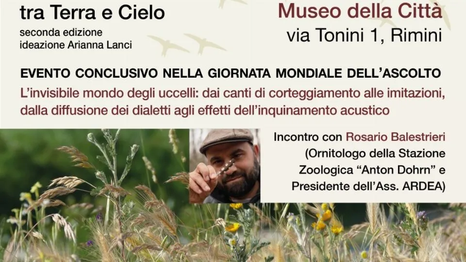 la locandina
