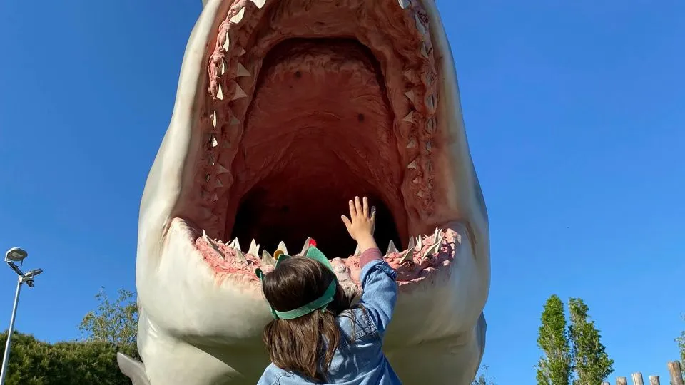 una delle attrazioni dell’acquario