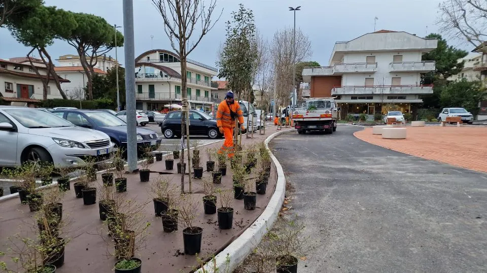 le piantumazioni in piazza XX Settembre