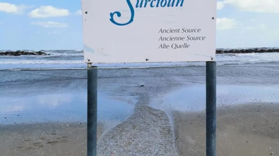 il Surcion