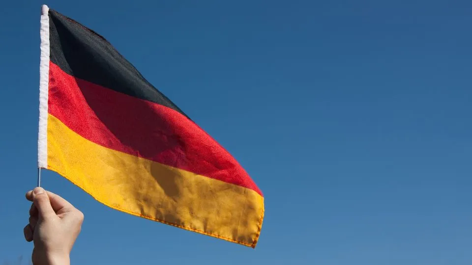 Immagine di bearfotos su Freepik
