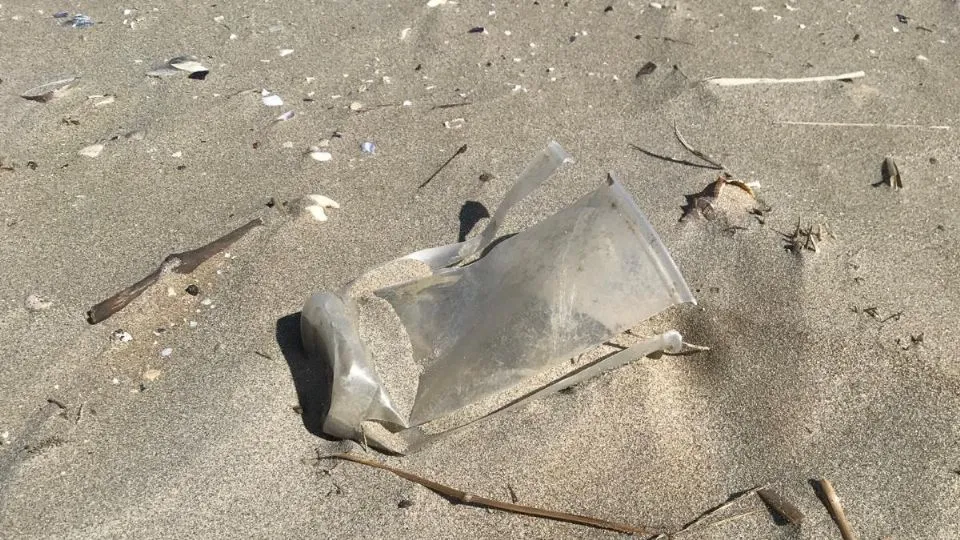 la sporcizia sulla spiaggia libera di Miramare