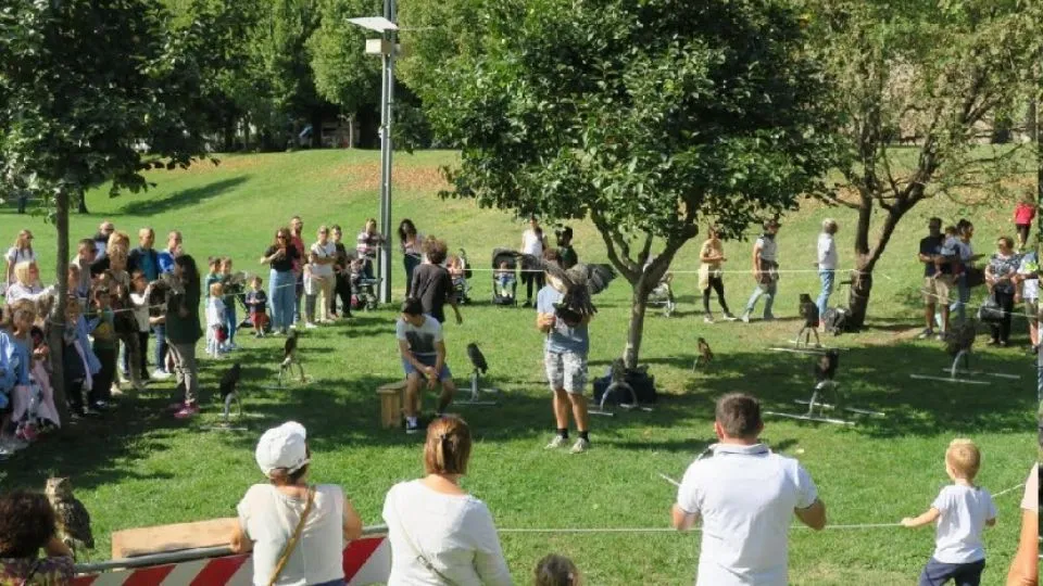 la fiera di San Michele