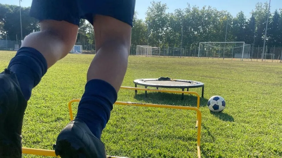 Alcuni lavori sul campo
