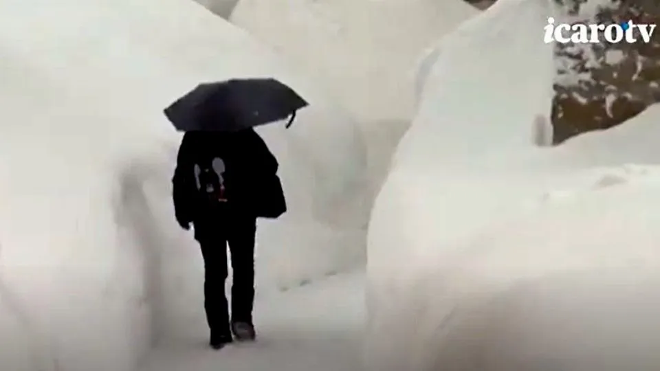 il nevone del 2012
