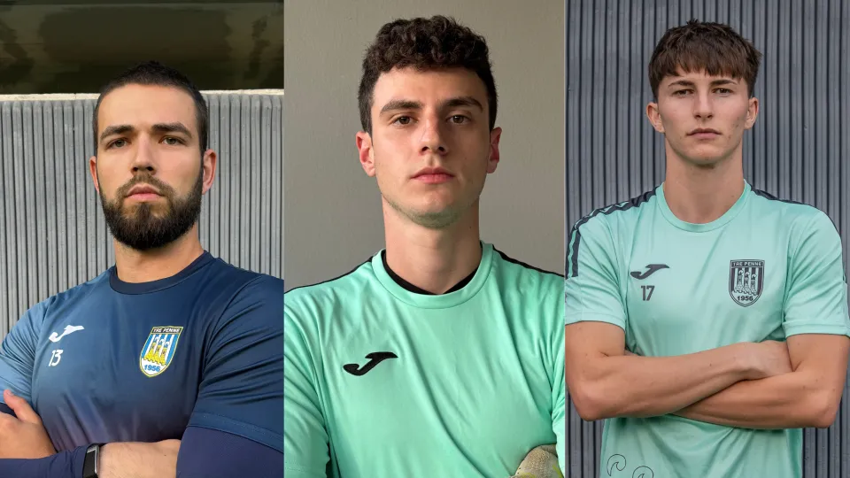 Agvul, Cervellini, Loza