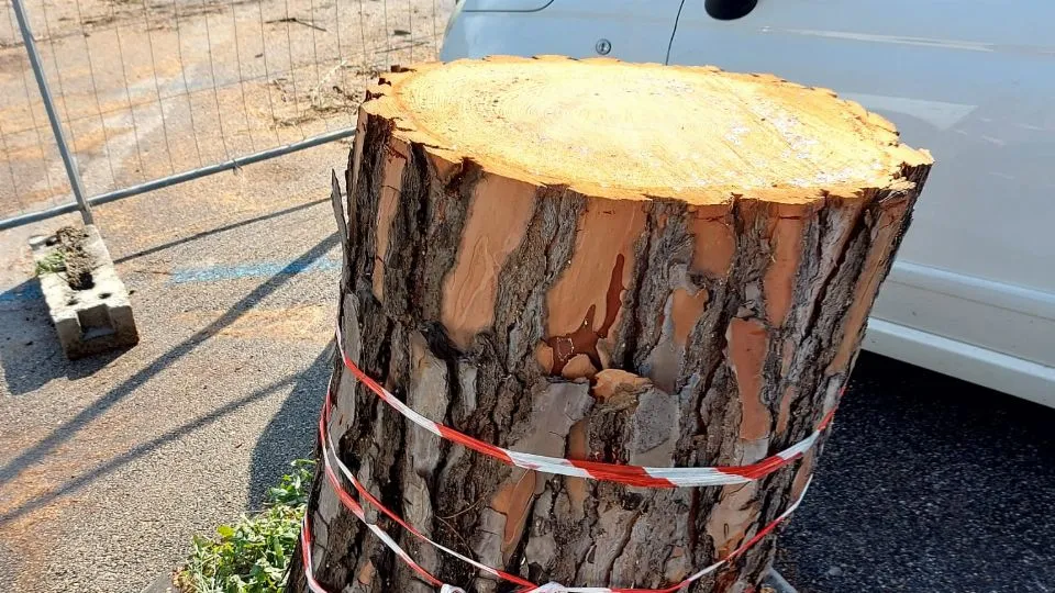 dalle associazioni ambientaliste
