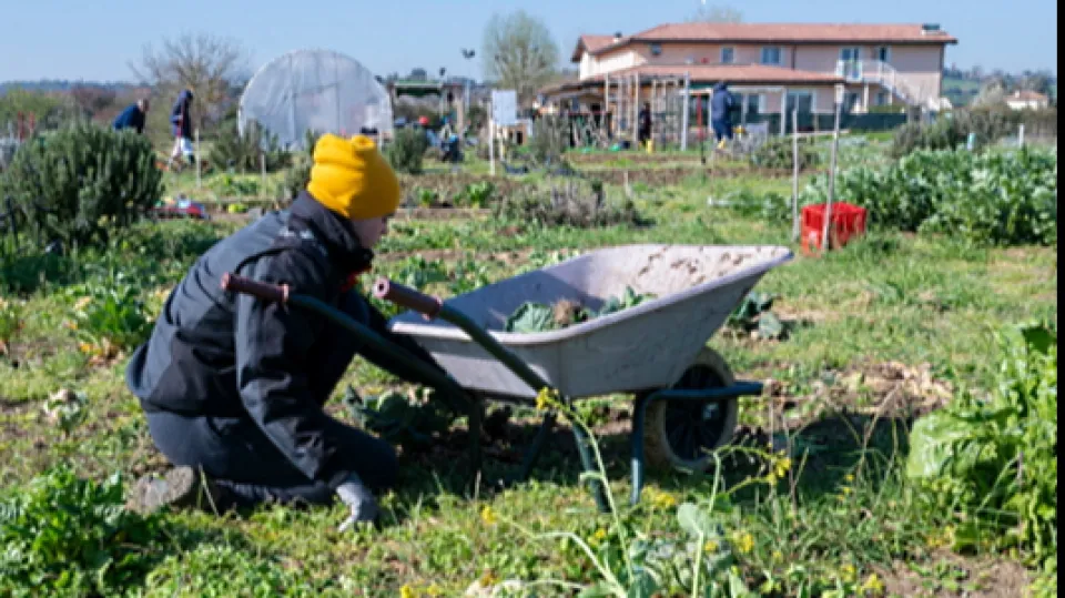 biodiversità