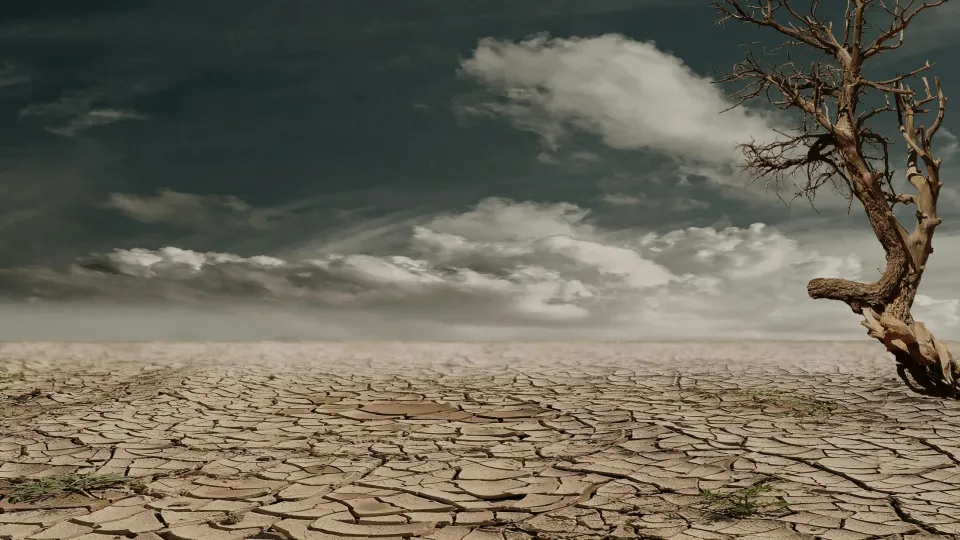 cambiamenti climatici
