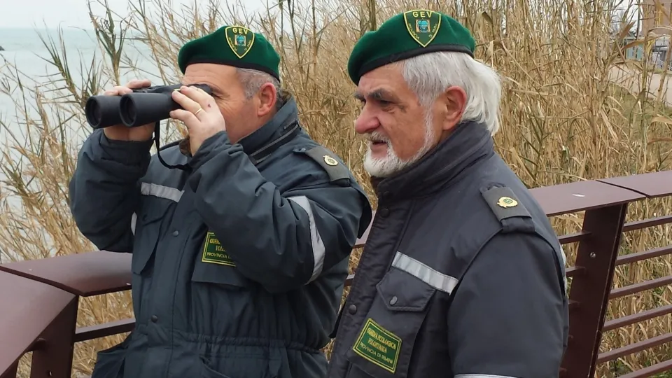 controllo urgente dei cinghiali