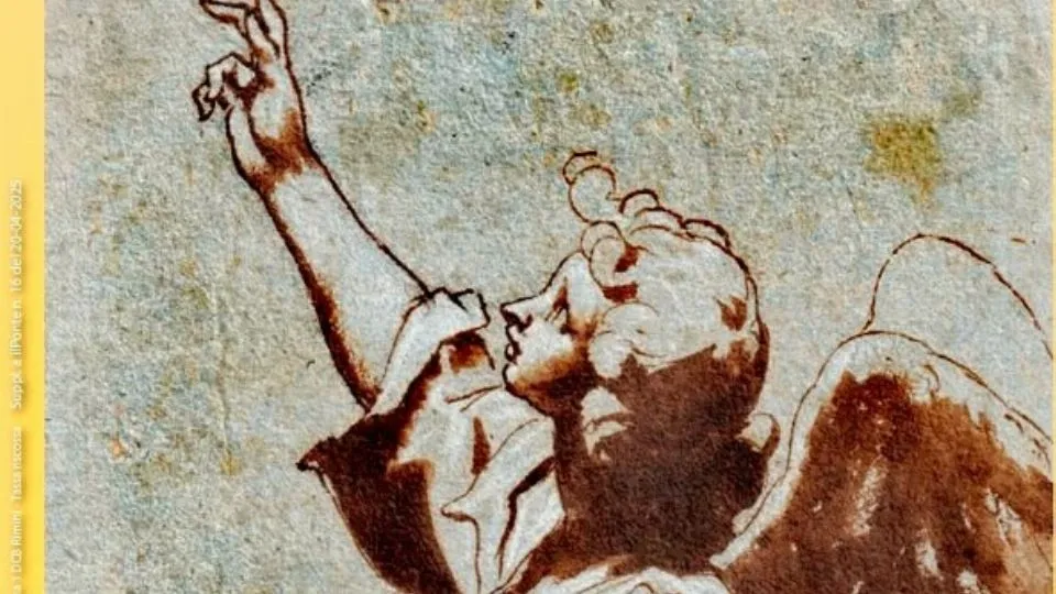 la copertina di Ariminum