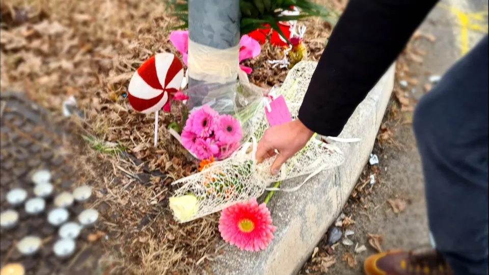 dalla pagina Facebook di Filippo Sacchetti