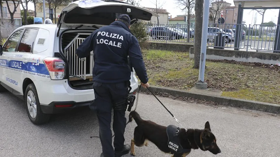 Unità cinofile polizia locale rimini