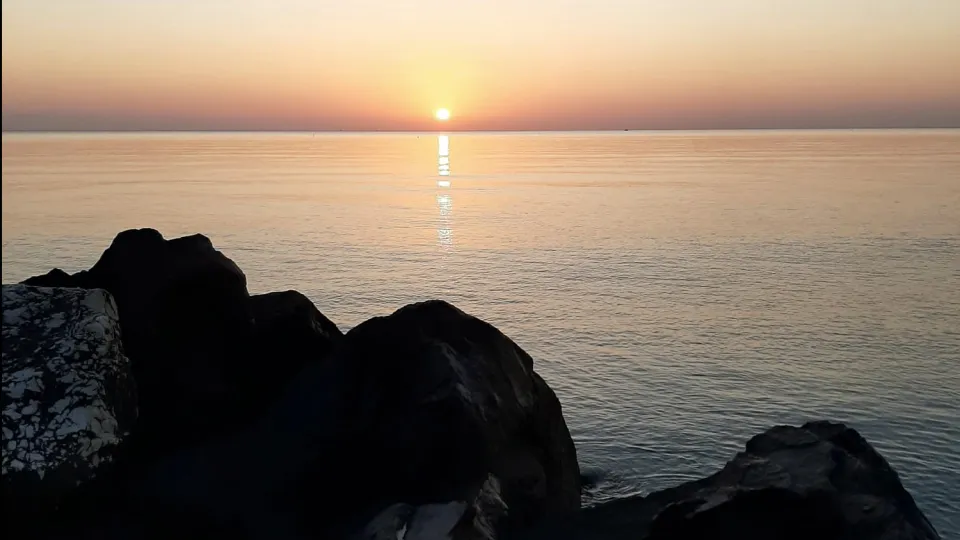 @fanaticadilibri