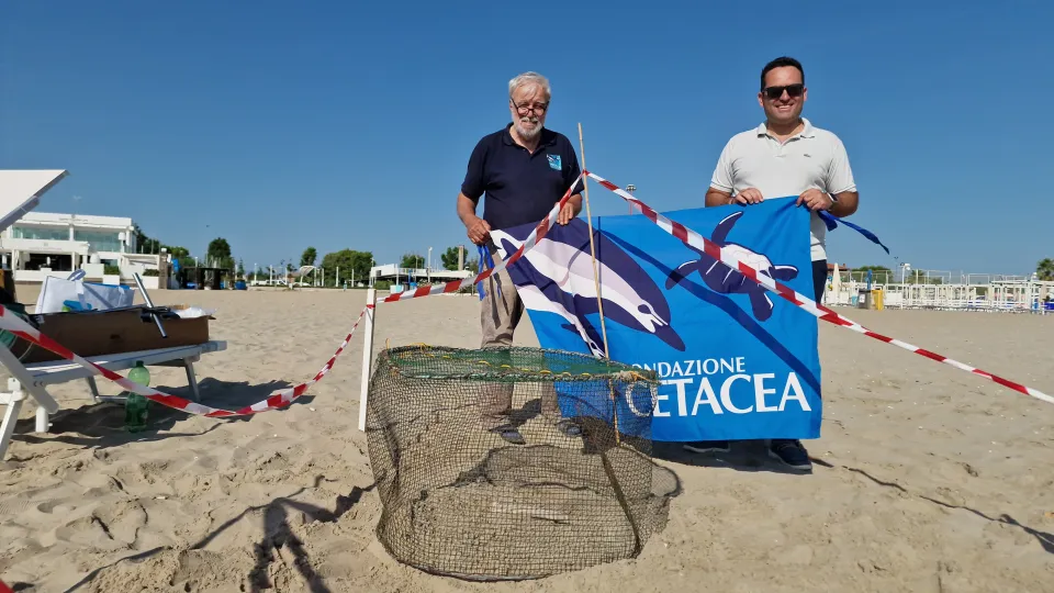 Fondazione Cetacea