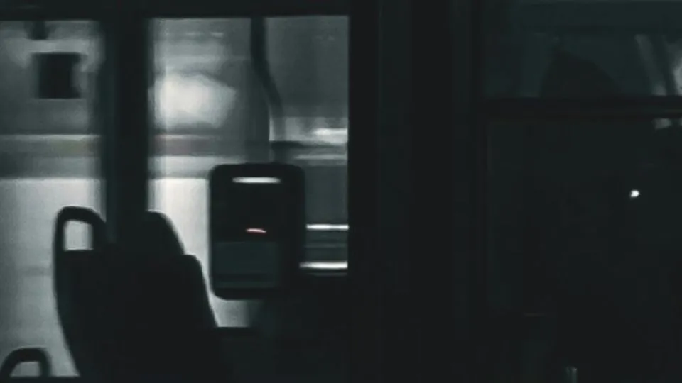 repertorio (Pexels)

