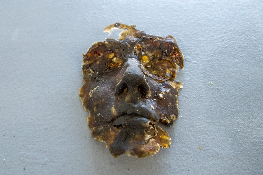 foto di Debora Vendemini e Andrea Shinigami