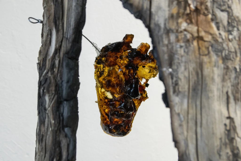 foto di Debora Vendemini e Andrea Shinigami