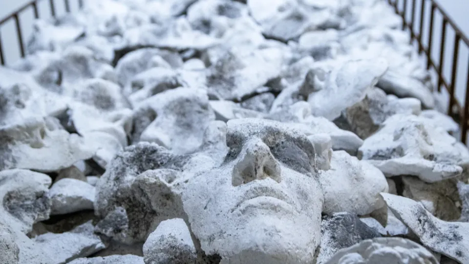 Gineceo Giulietta Gheller