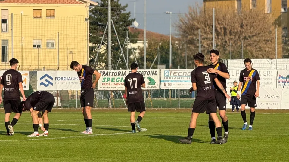 I giocatori gialloblù