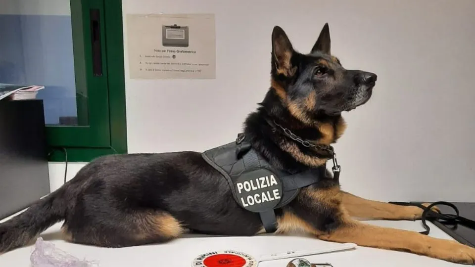 unità cinofila