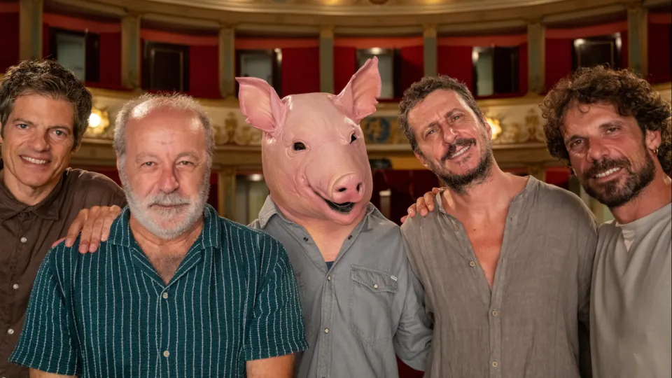 il medico dei maiali