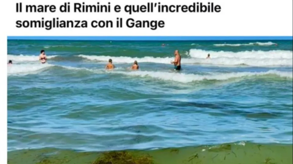 il meme di oggi