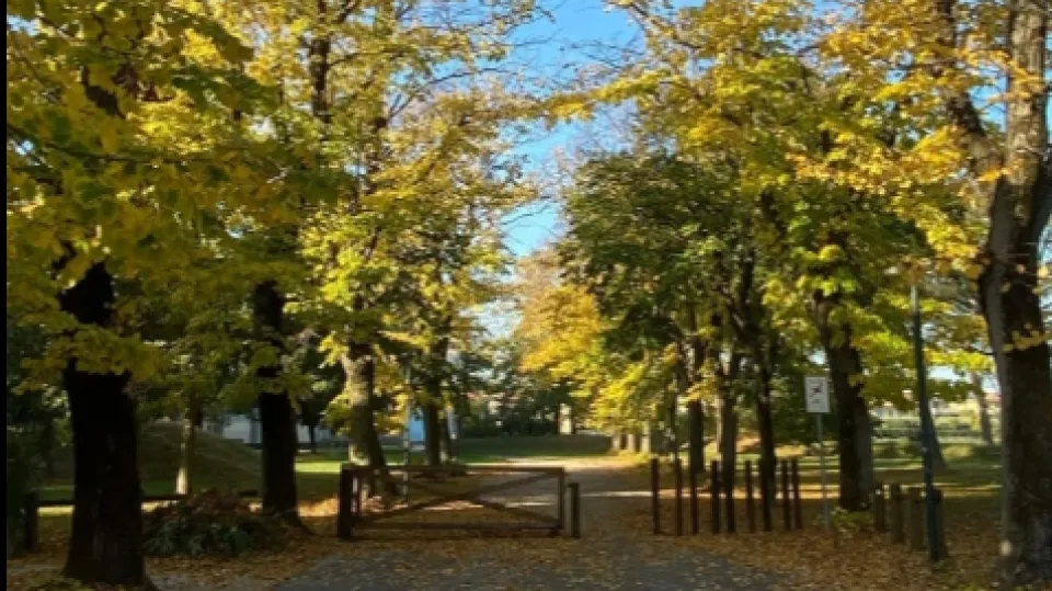 il parco dei tigli di San Giovanni in Marignano