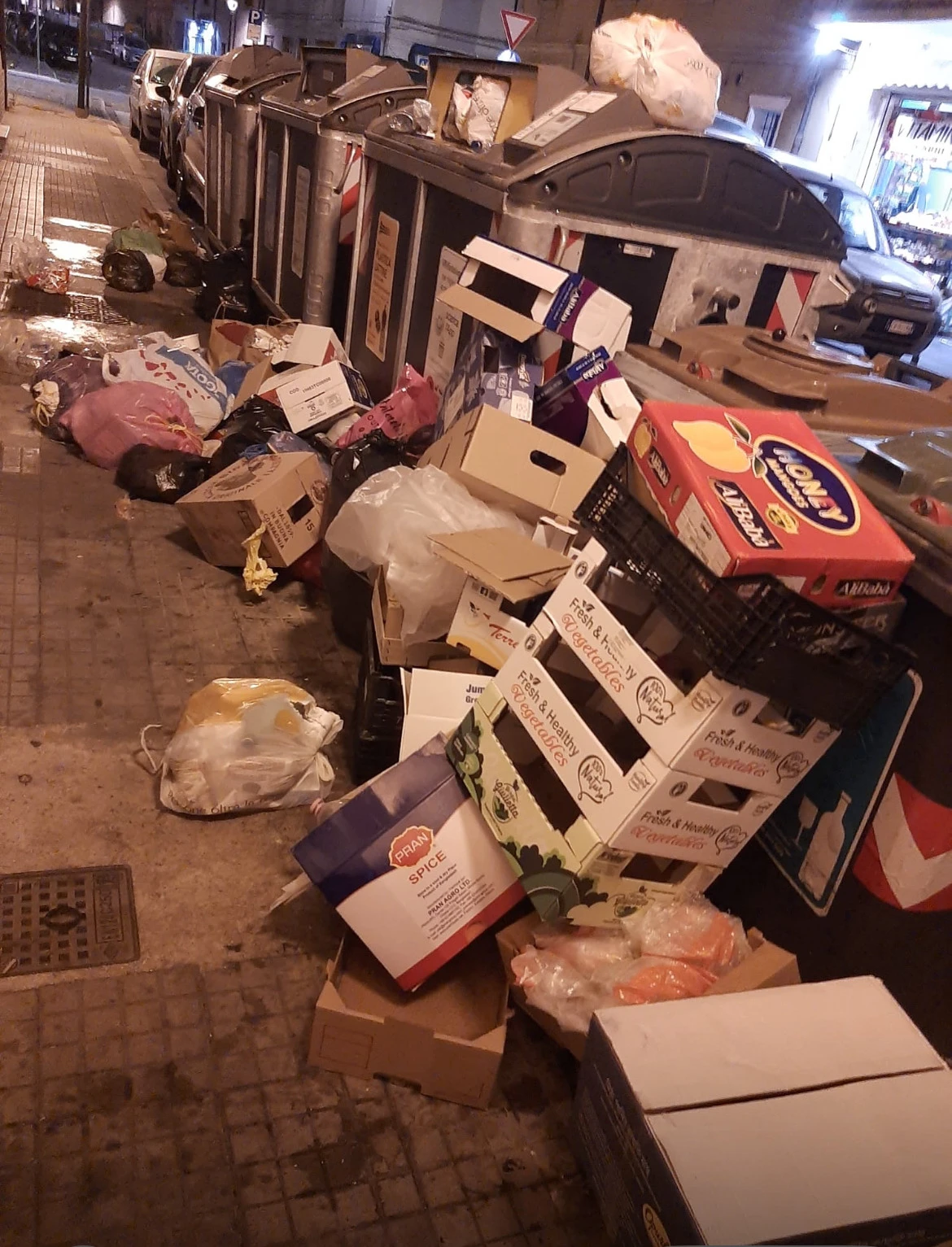 cassonetti circondati dai rifiuti