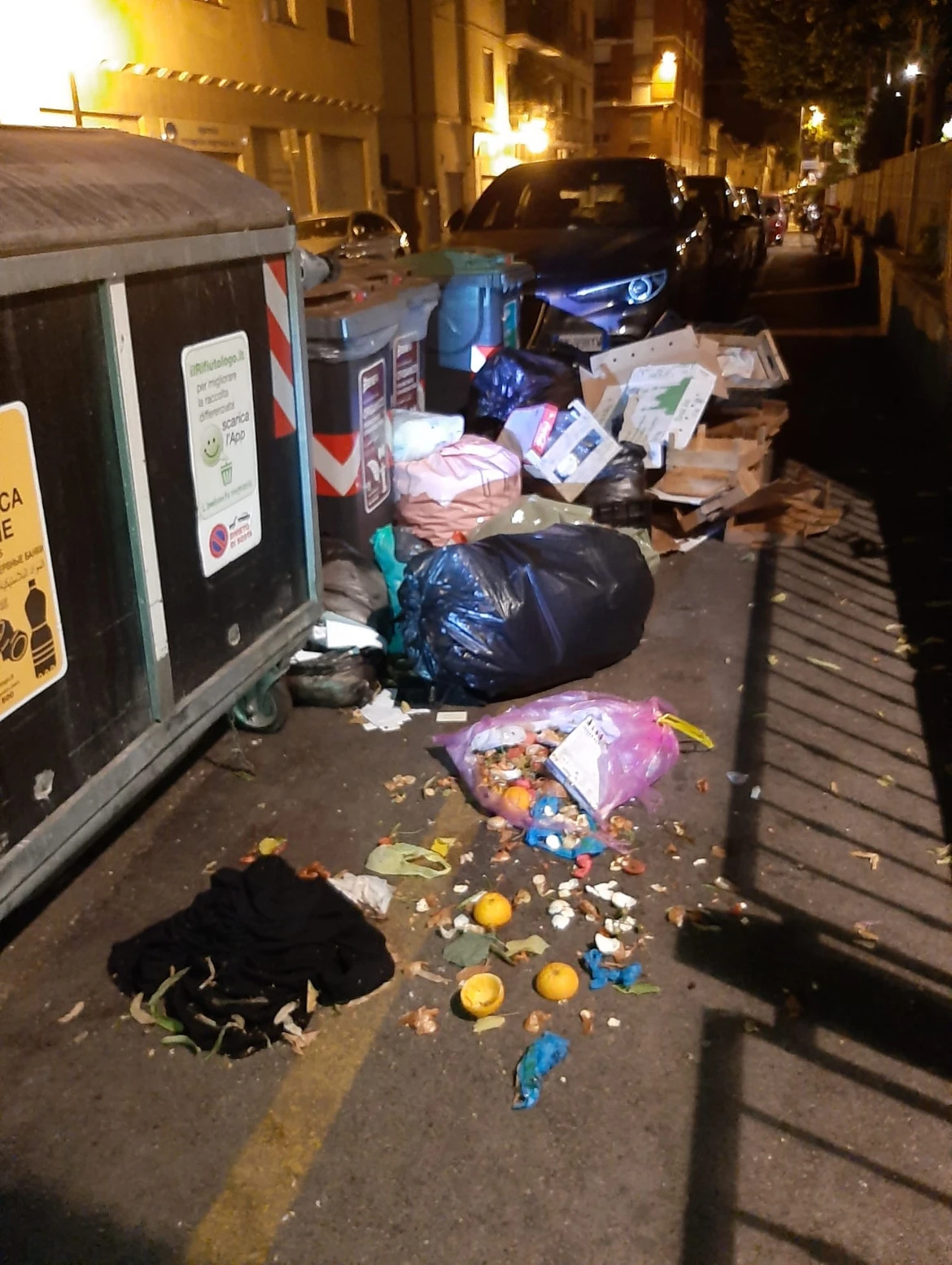 Rifiuti in strada, situazione indecorosa