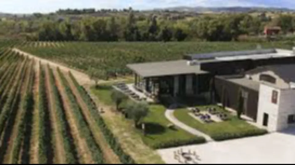 la cantina Ottaviani