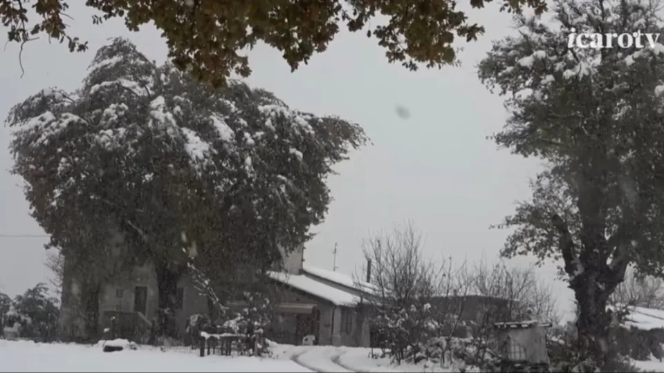 la neve del 22 novembre