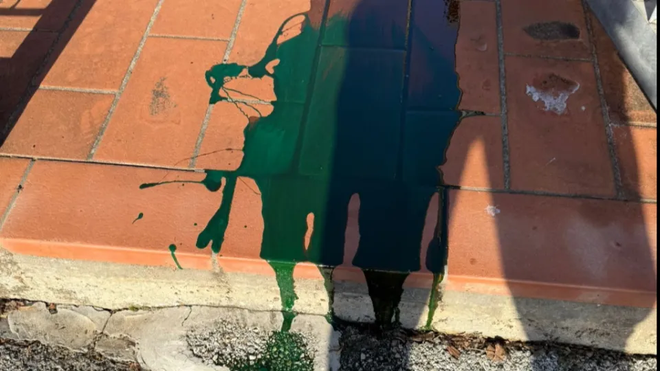 la vernice sul pavimento di ingresso