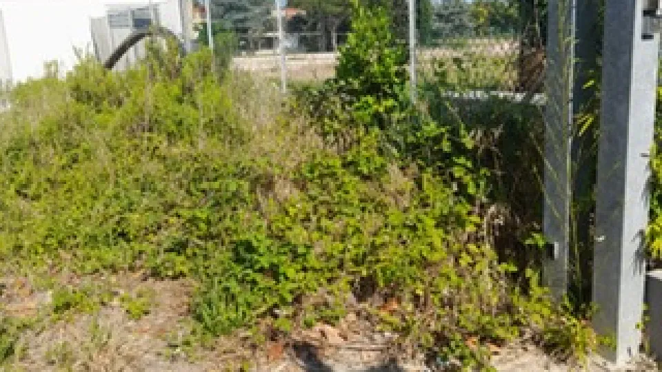 la zona dell'ex depuratore
