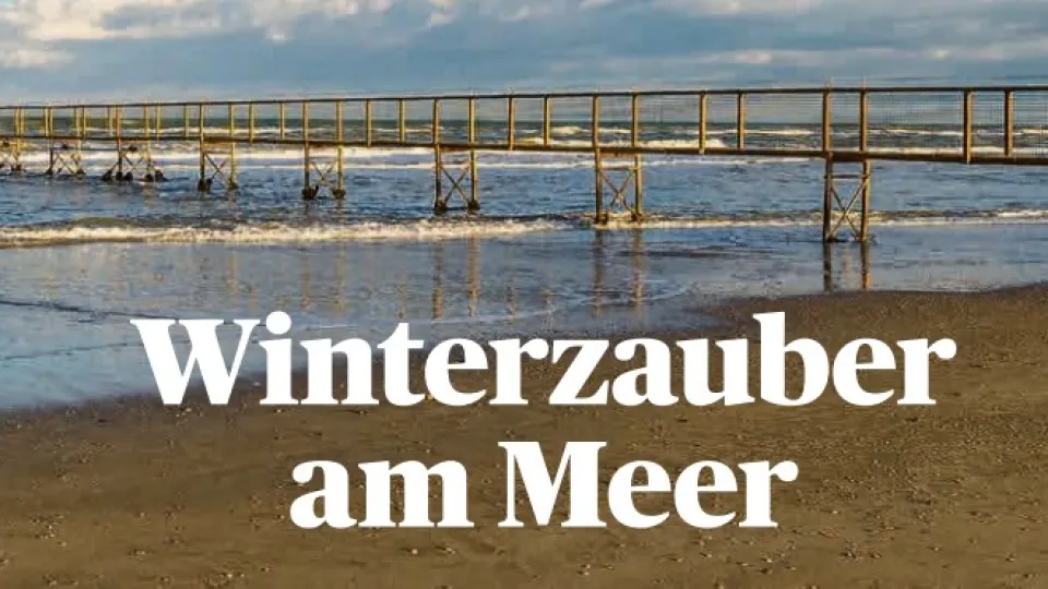 l'articolo di Reisen