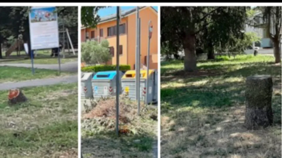 le foto scattate dal comitato