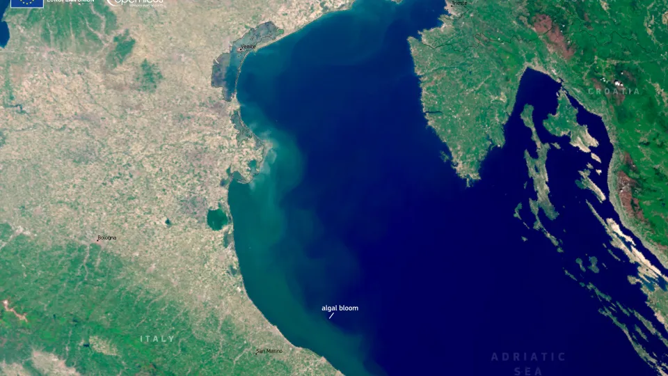 le immagini da satellite