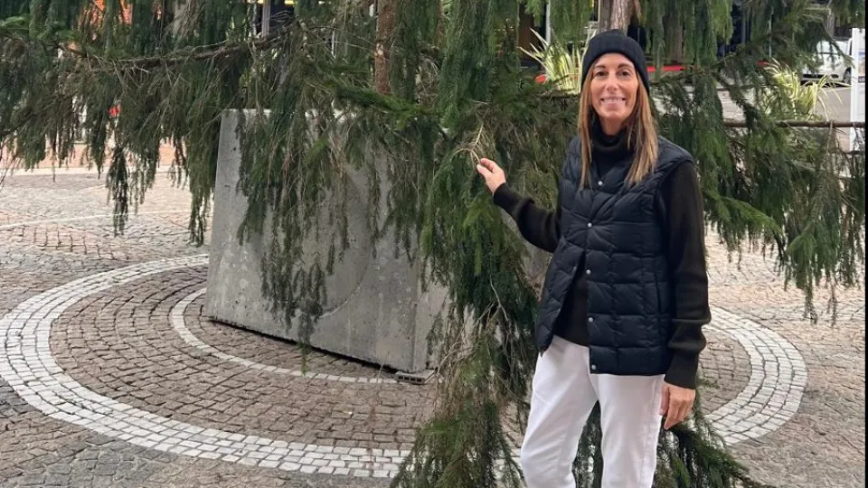 Maxi abete di Cattolica per Natale