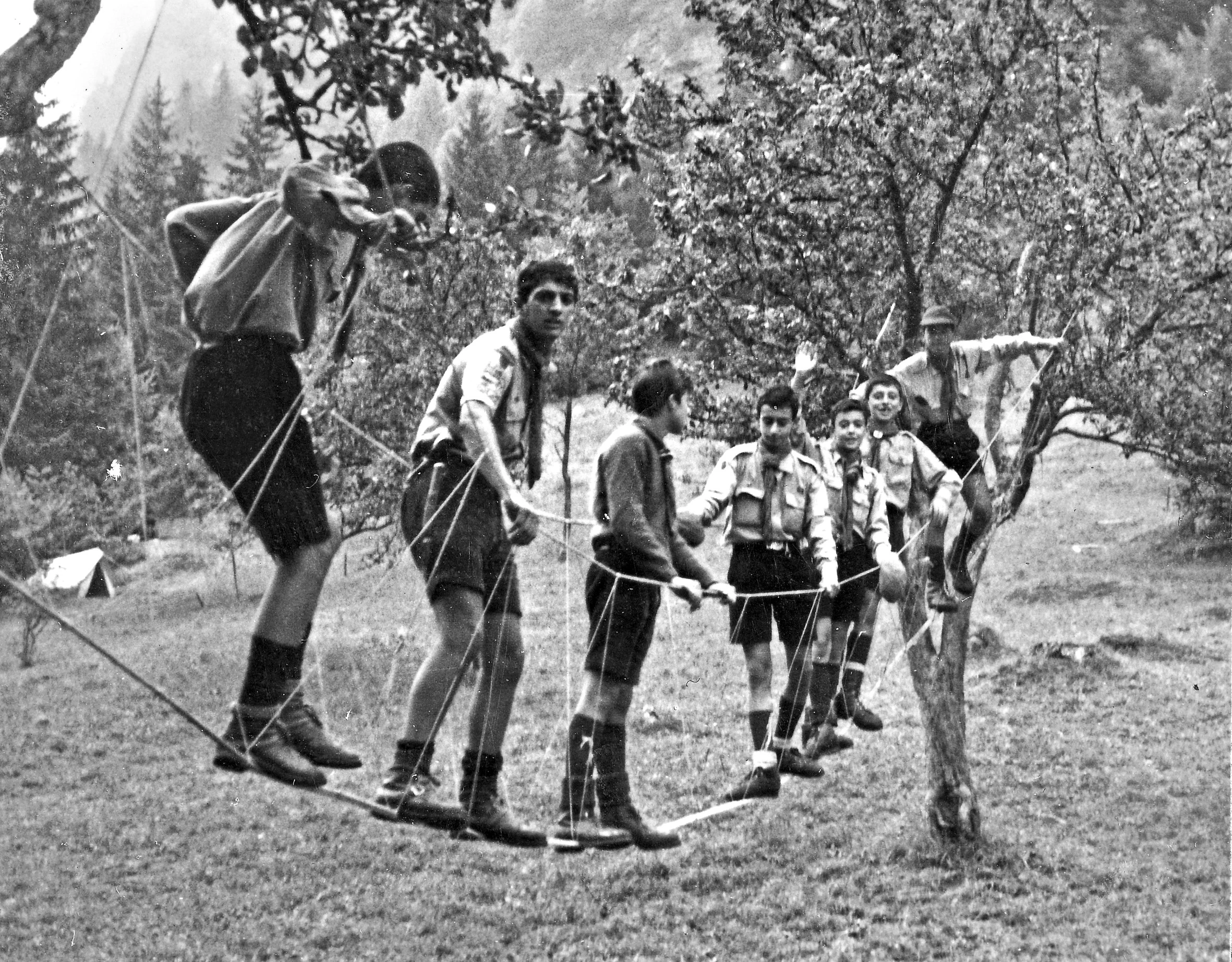 Campo a Caoria del Reparto Mario di Carpegna, dal volume " Tracce"