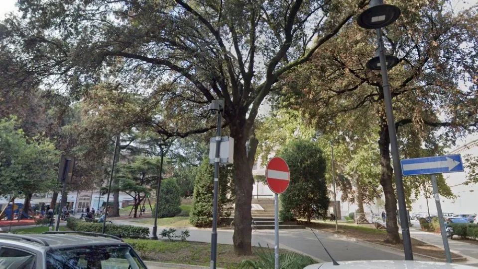 da google maps