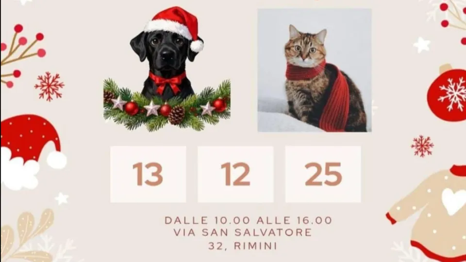 Open Day canile comunale Stefano Cerni