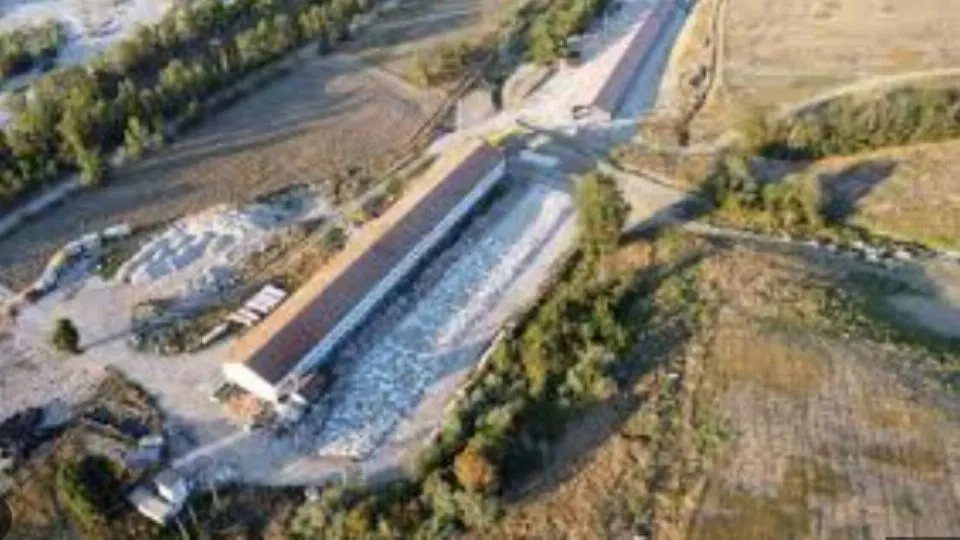 l’area del polo avicolo