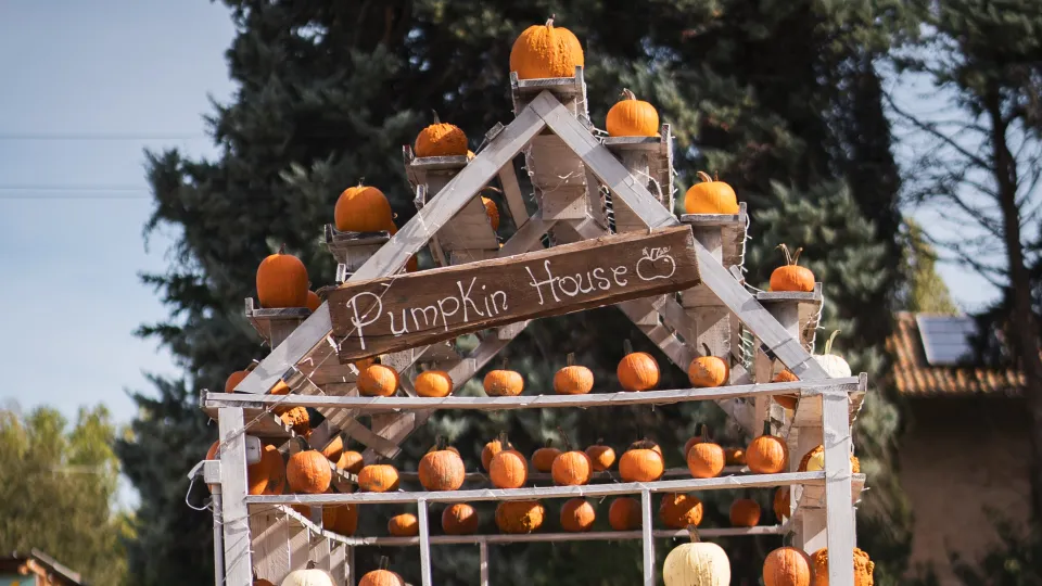 Pumpkin House