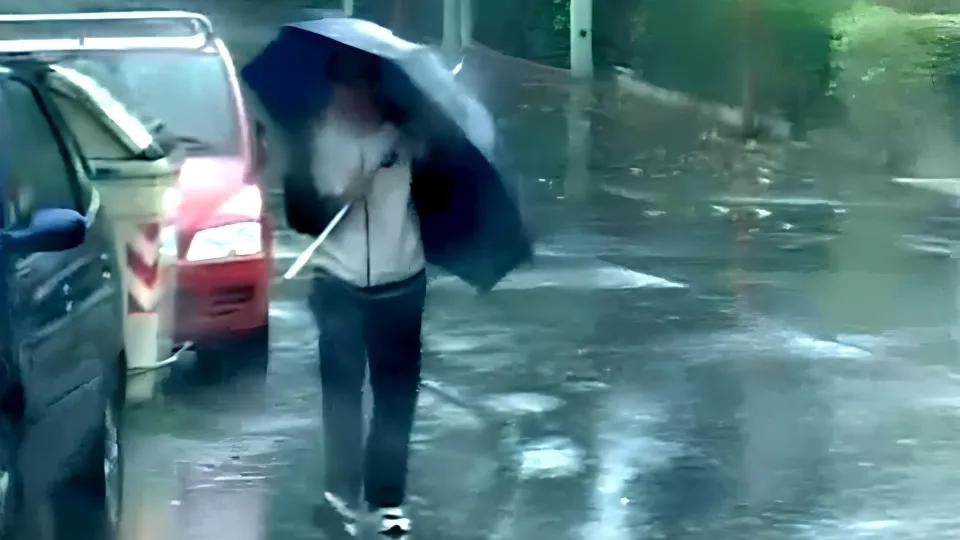 repertorio (@newsrimini)