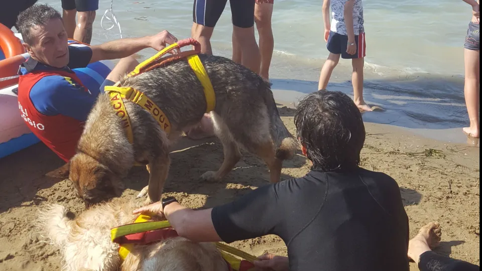 salvataggio in mare