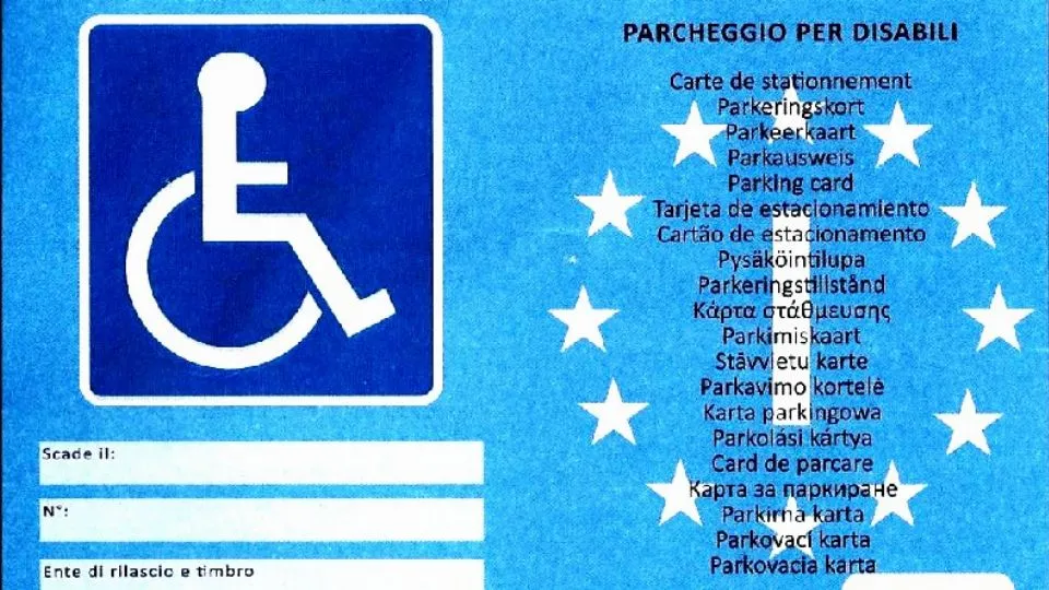 il fac simile di un pass