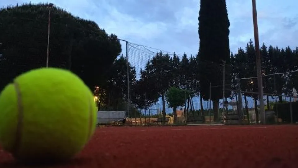 Una bell'immagine del CT Venustas
