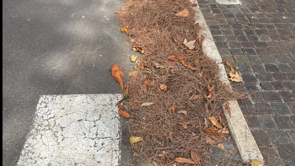 viale Giordano Bruno